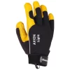 Axion Light - Image 2