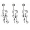 Pirana Guide - Image 4